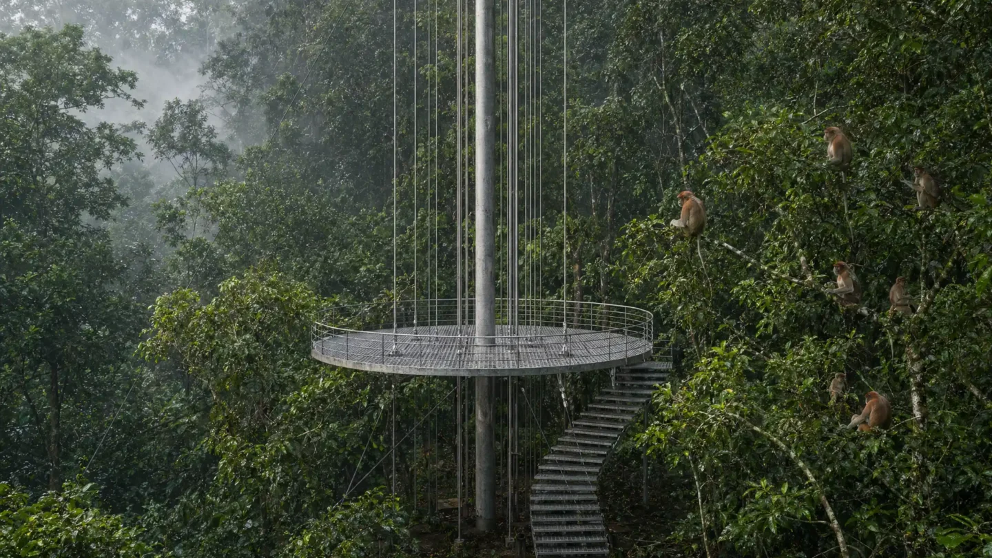 Elevated Rainforest Research Center