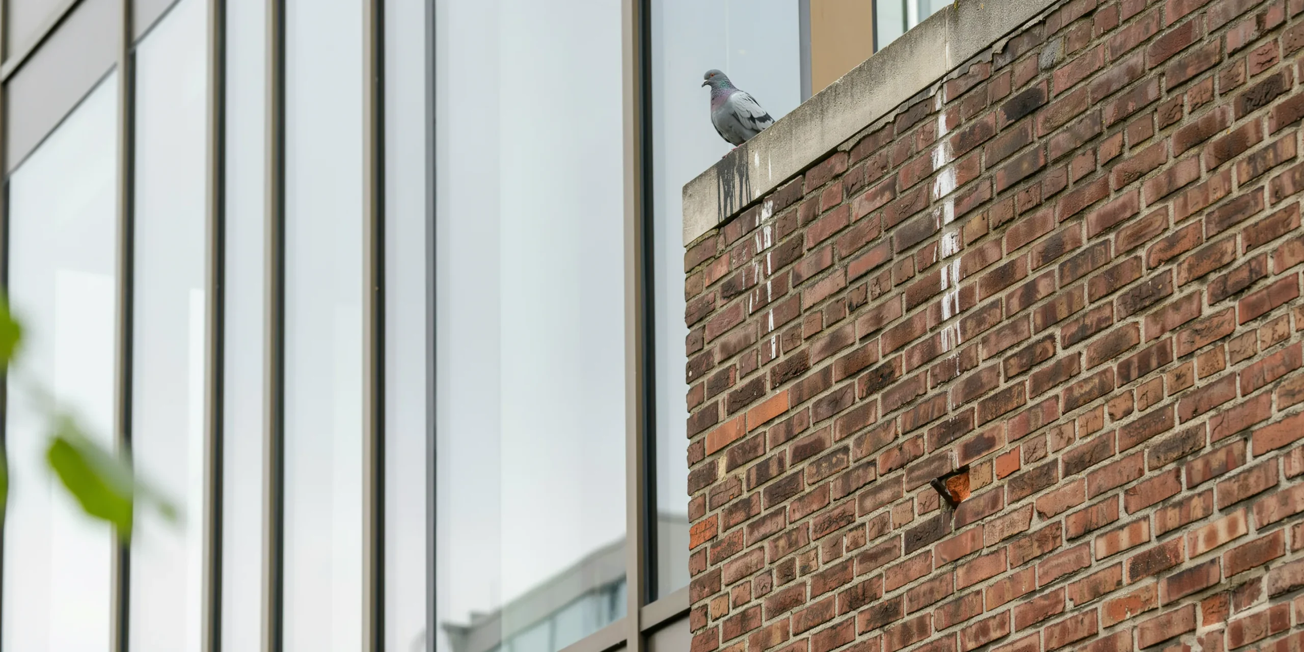 Contrast of modernist materials with a nearby brick wall illustrating design rejection
