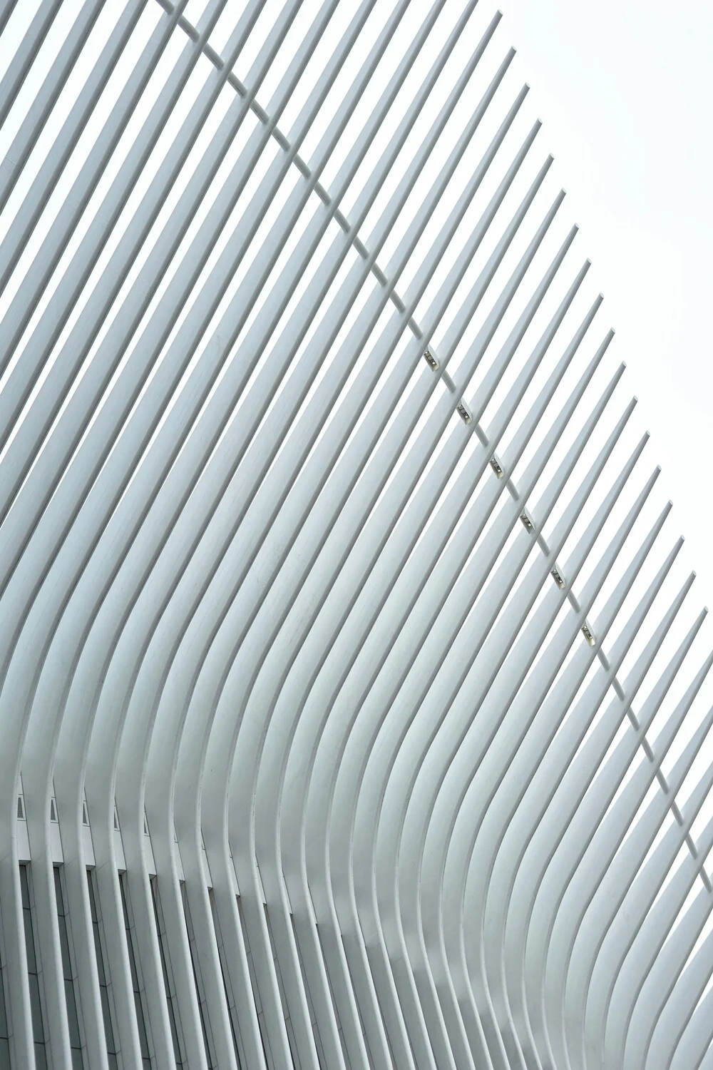 The Oculus (World Trade Center Transportation Hub), New York, USA